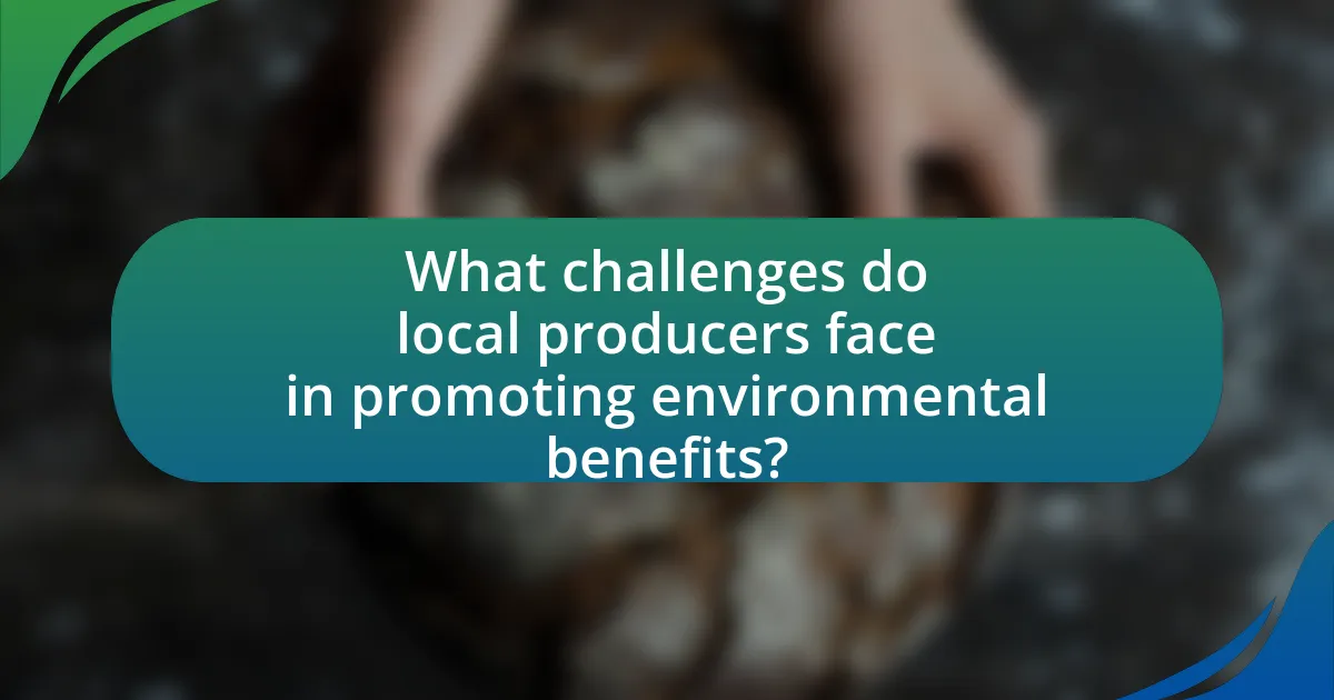What challenges do local producers face in promoting environmental benefits?