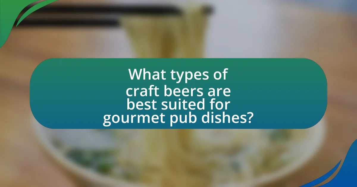 What types of craft beers are best suited for gourmet pub dishes?